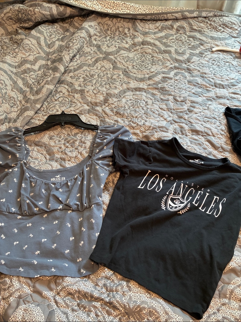Hollister Black Los Angeles Graphic Tee and Gray and White print crop